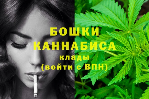 винт Елизово